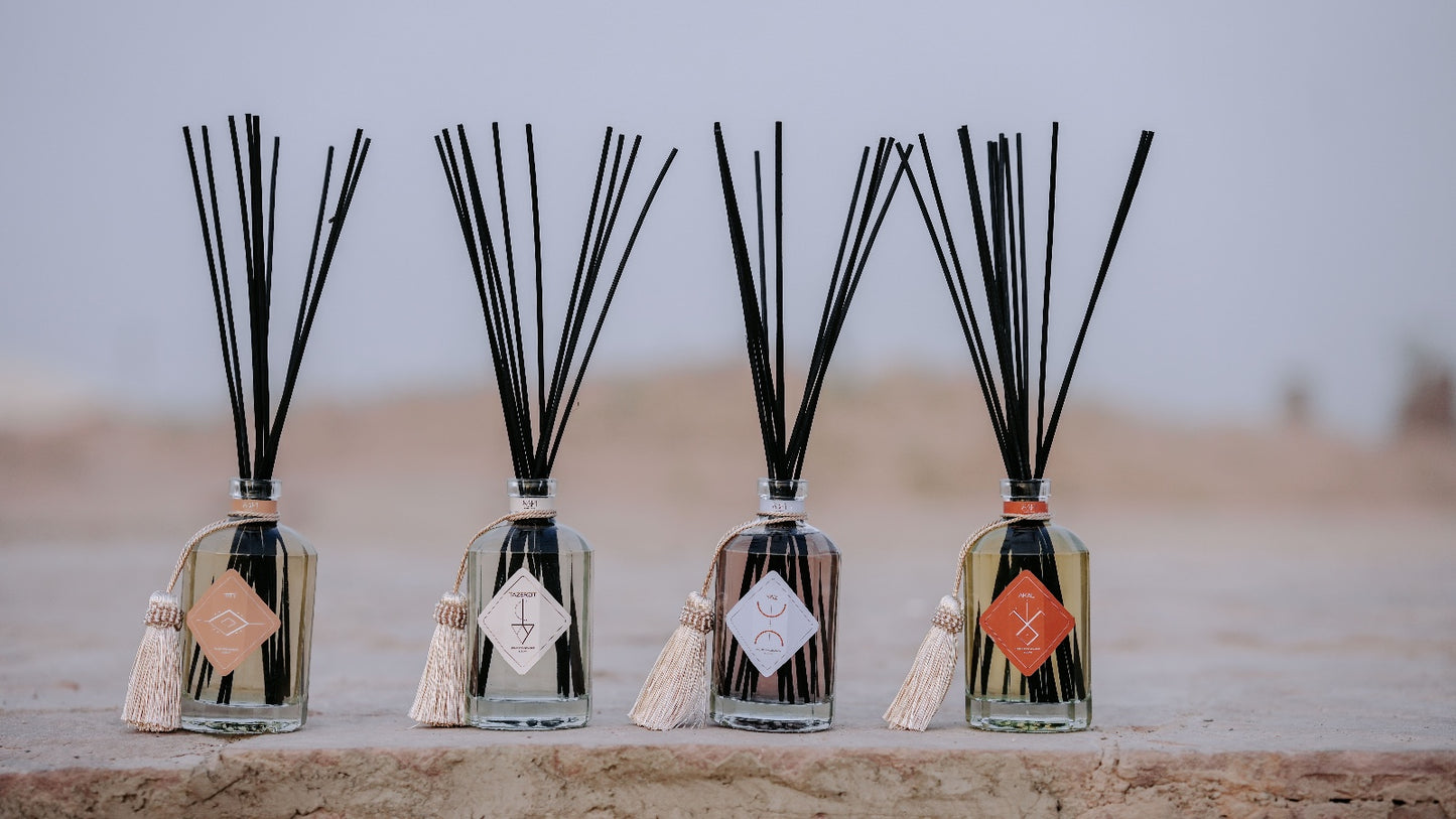 Box Tester — 4 Campioni